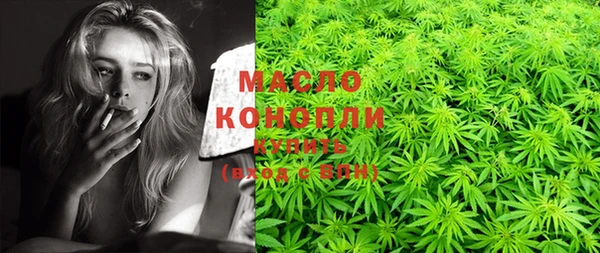 индика Нязепетровск
