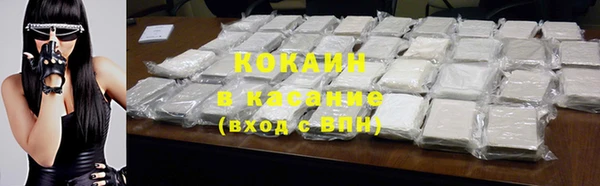 индика Нязепетровск