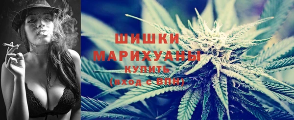 индика Нязепетровск