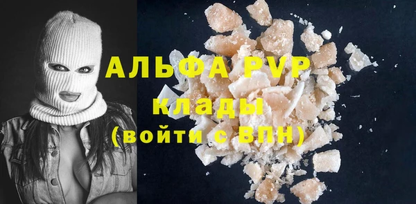 индика Нязепетровск