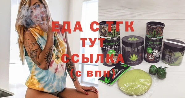 индика Нязепетровск