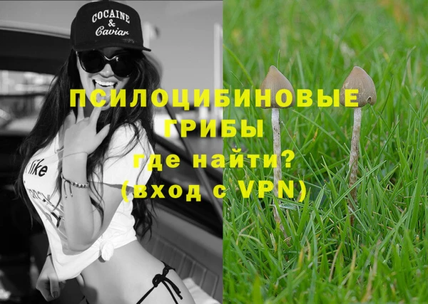 индика Нязепетровск