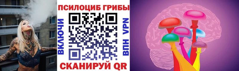 Галлюциногенные грибы Cubensis  продажа наркотиков  кракен ТОР  Нестеров 